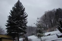 Resize of DSC01765.JPG